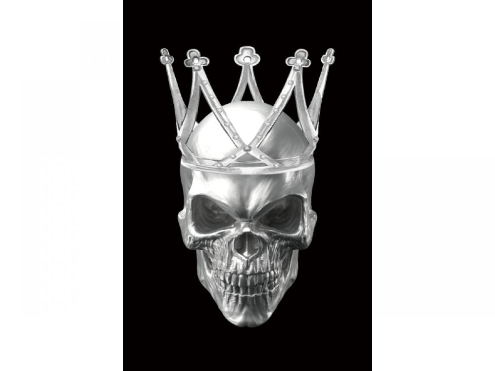 Tablou Dreptunghiular pe Sticla Argintiu Skull II H120xL80cm