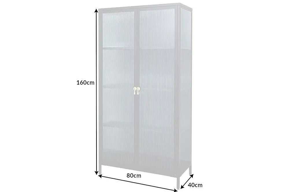 Dulap din Metal Negru si Metal/Sticla securizata Negru/Transparent L80xH160cm AMSTERDAM