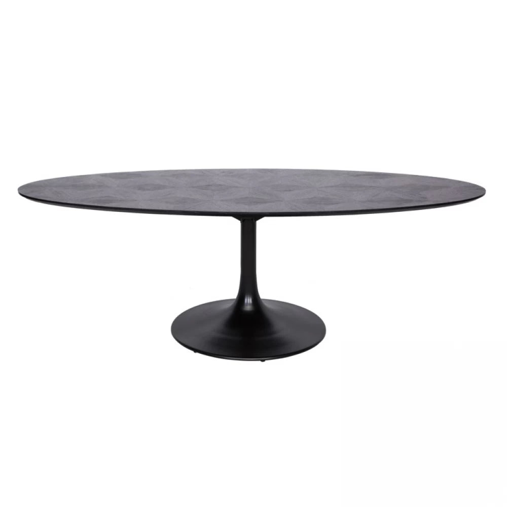 Masa Ovala din Metal si Furnir de stejar Negru L250xH76cm Blax Richmond Interiors