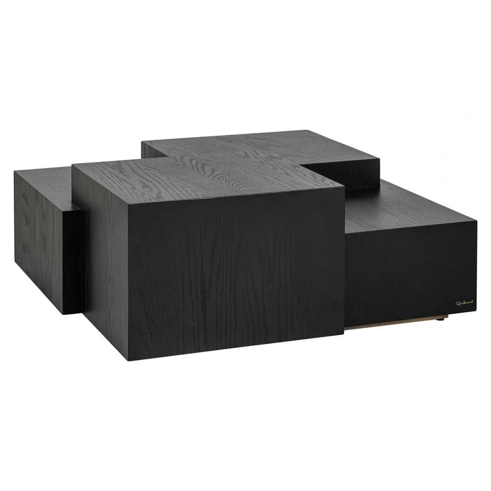 Masuta de cafea Patrata din Furnir de stejar Negru si Metal Negru L100xH38cm Lennox Richmond Interiors