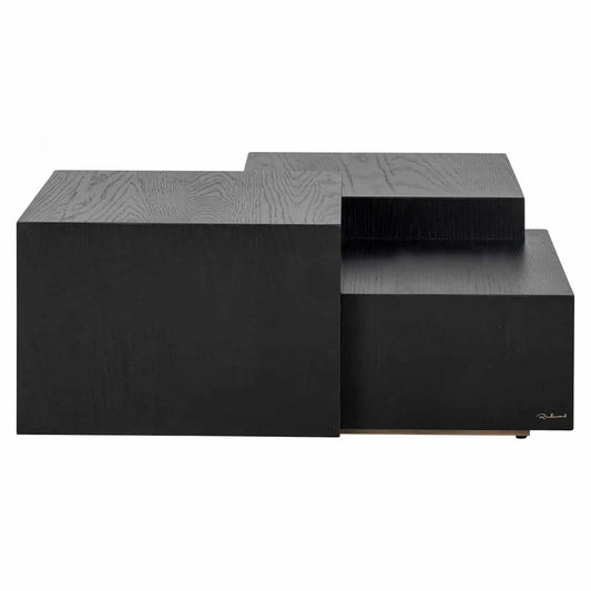 Masuta de cafea Patrata din Furnir de stejar Negru si Metal Negru L100xH38cm Lennox Richmond Interiors