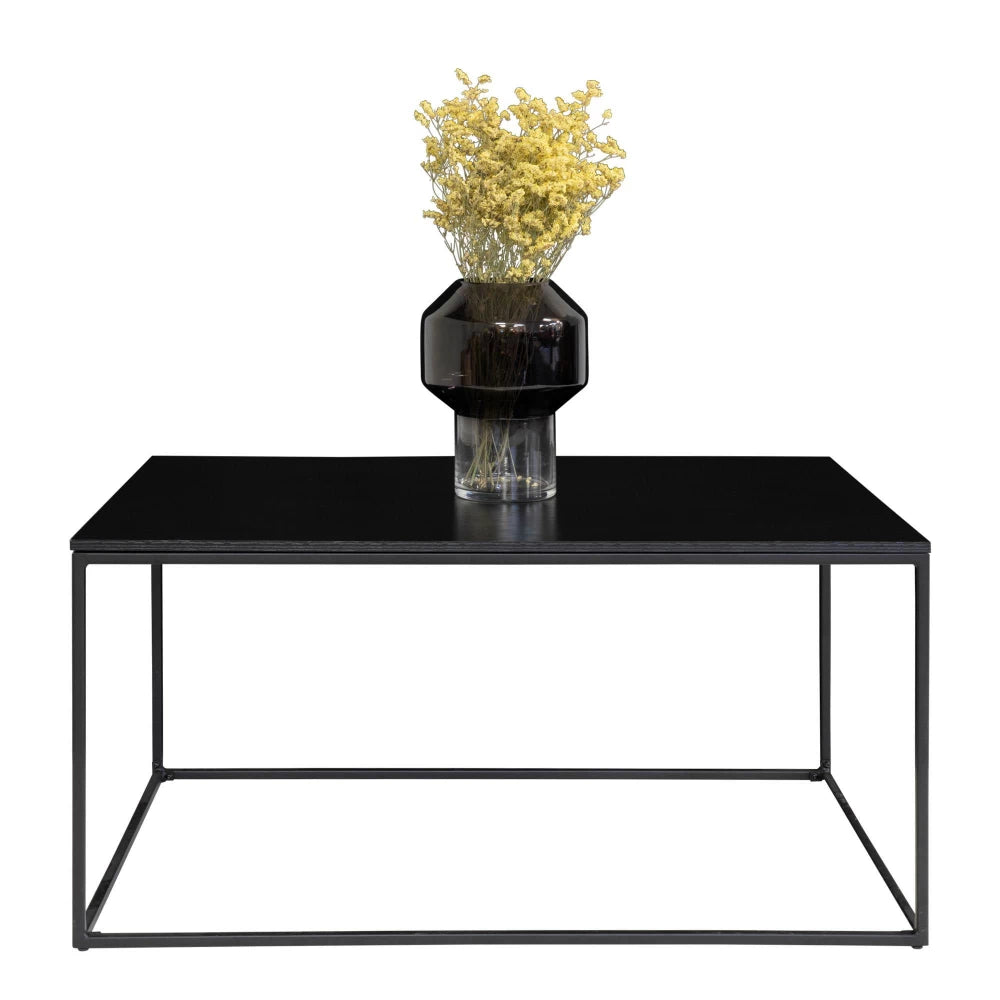 Masuta de cafea din Metal Negru si PAL Negru L60xH45cm Vita