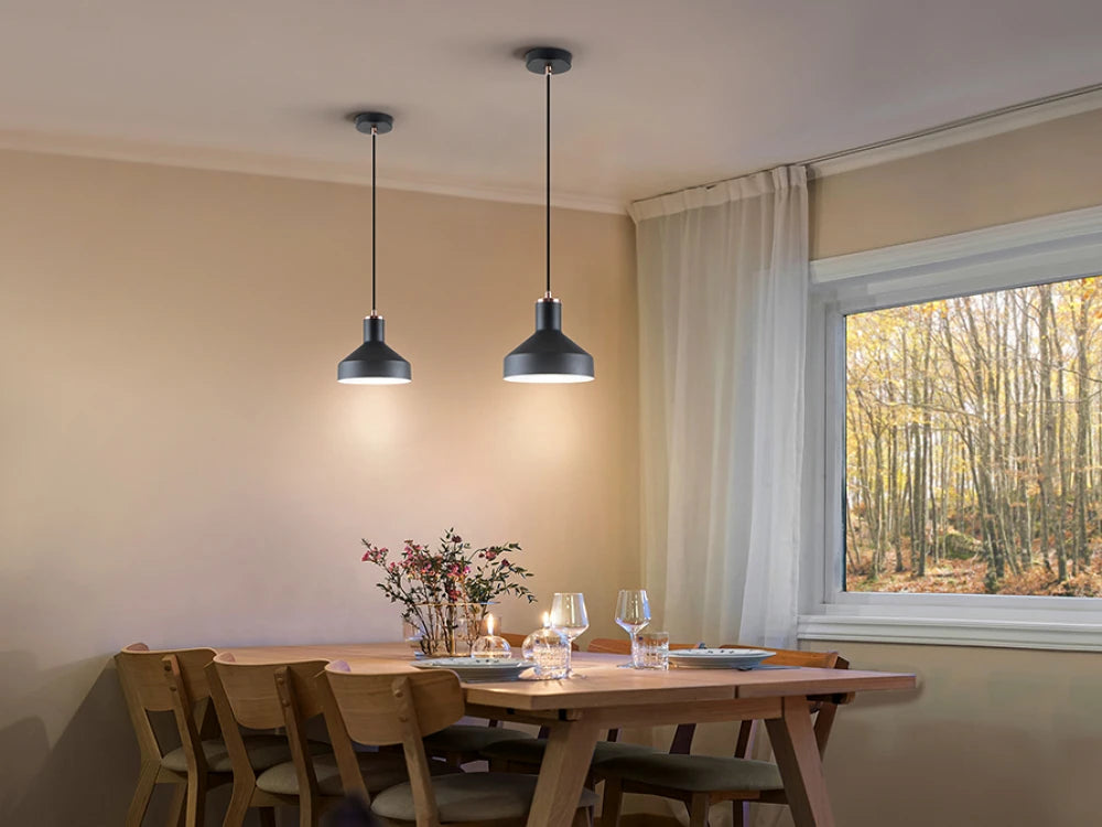 Pendul din Metal Negru 20W D18xH140cm Irias