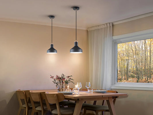 Pendul din Metal Negru 20W D18xH140cm Irias