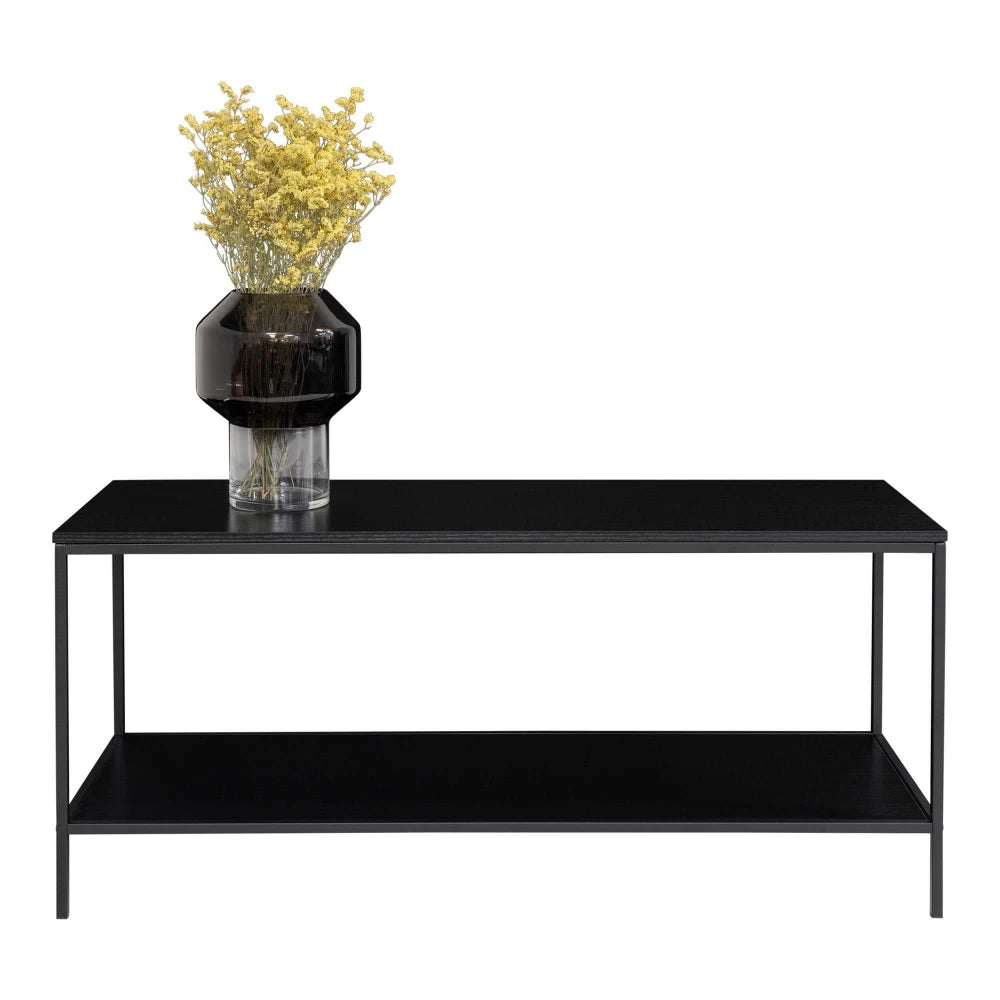Comoda TV din PAL Negru si Metal Negru L100xH45cm Vita