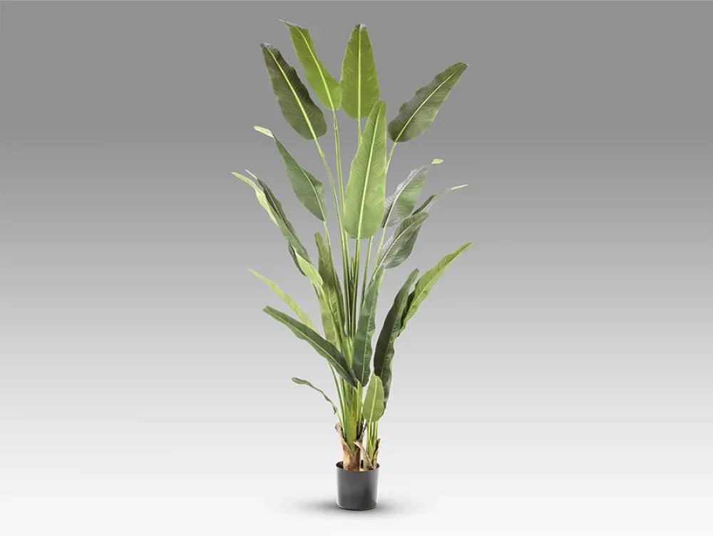 Planta artificiala din Plastic Verde L120xH240cm Palma viajero
