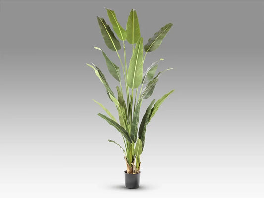 Planta artificiala din Plastic Verde L120xH240cm Palma viajero