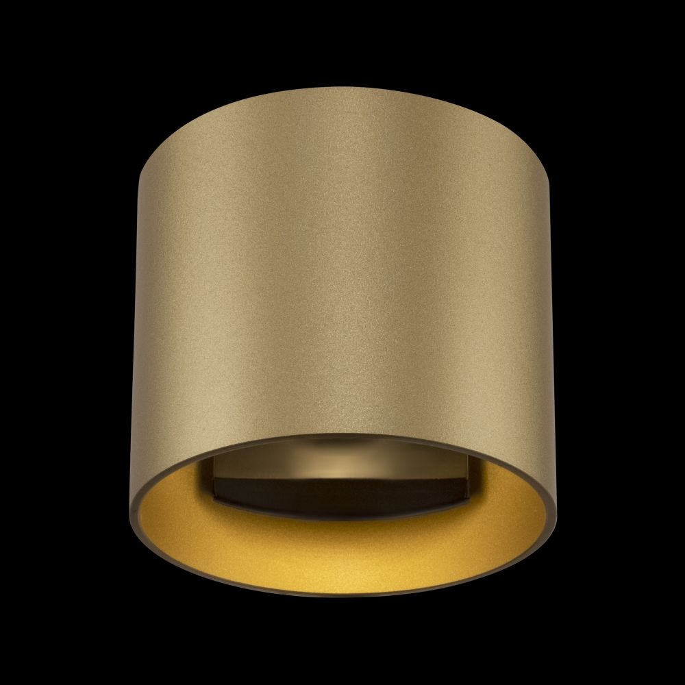 Aplica de perete din Metal Auriu D10xH8cm Rond