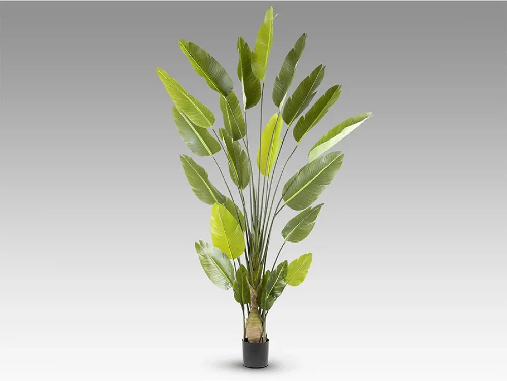 Planta artificiala din Plastic Verde L150xH250cm Ave paraíso