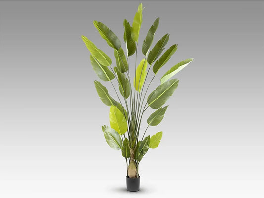 Planta artificiala din Plastic Verde L150xH250cm Ave paraíso