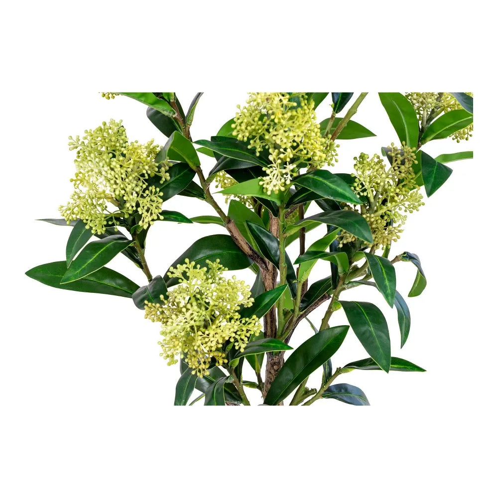 Planta artificiala in ghiveci Skimmia Tree H75xD40cm