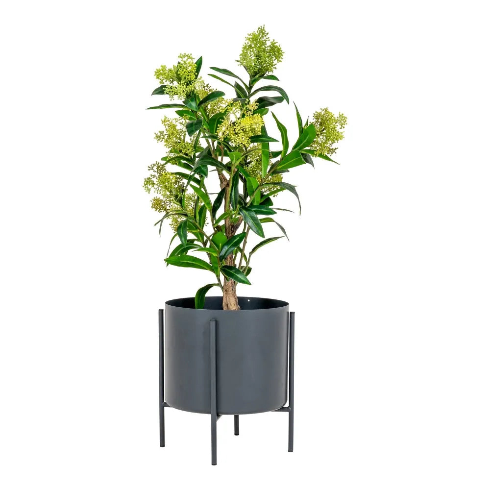 Planta artificiala in ghiveci Skimmia Tree H75xD40cm