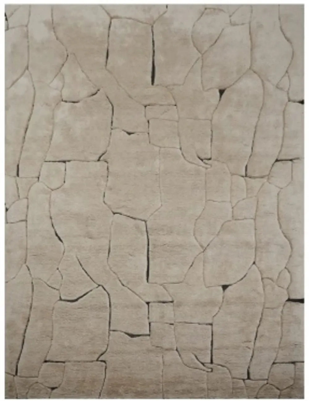 Covor din Lana/Bumbac Maro 400x300cm Bhawan Richmond interiors