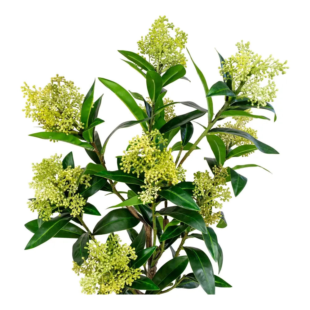 Planta artificiala in ghiveci Skimmia Tree H75xD40cm