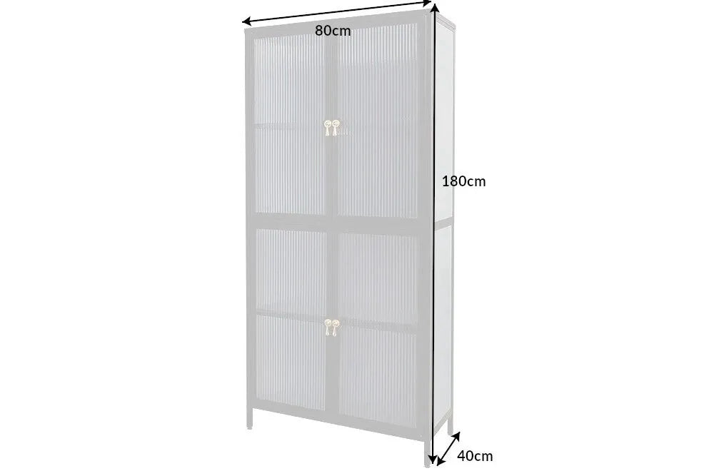 Dulap din Metal Negru si Metal/Sticla securizata Negru/Transparent L80xH180cm AMSTERDAM