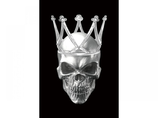 Tablou Dreptunghiular pe Sticla Argintiu Skull II H120xL80cm