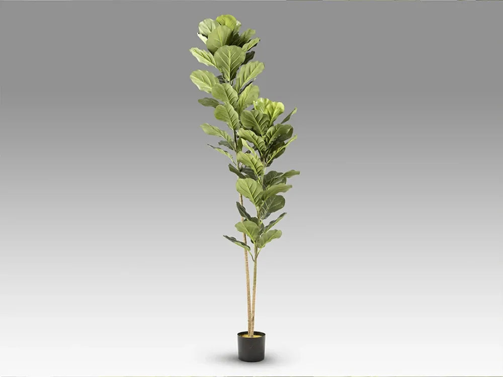 Planta artificiala din Plastic Verde L70xH200cm Higuera violin