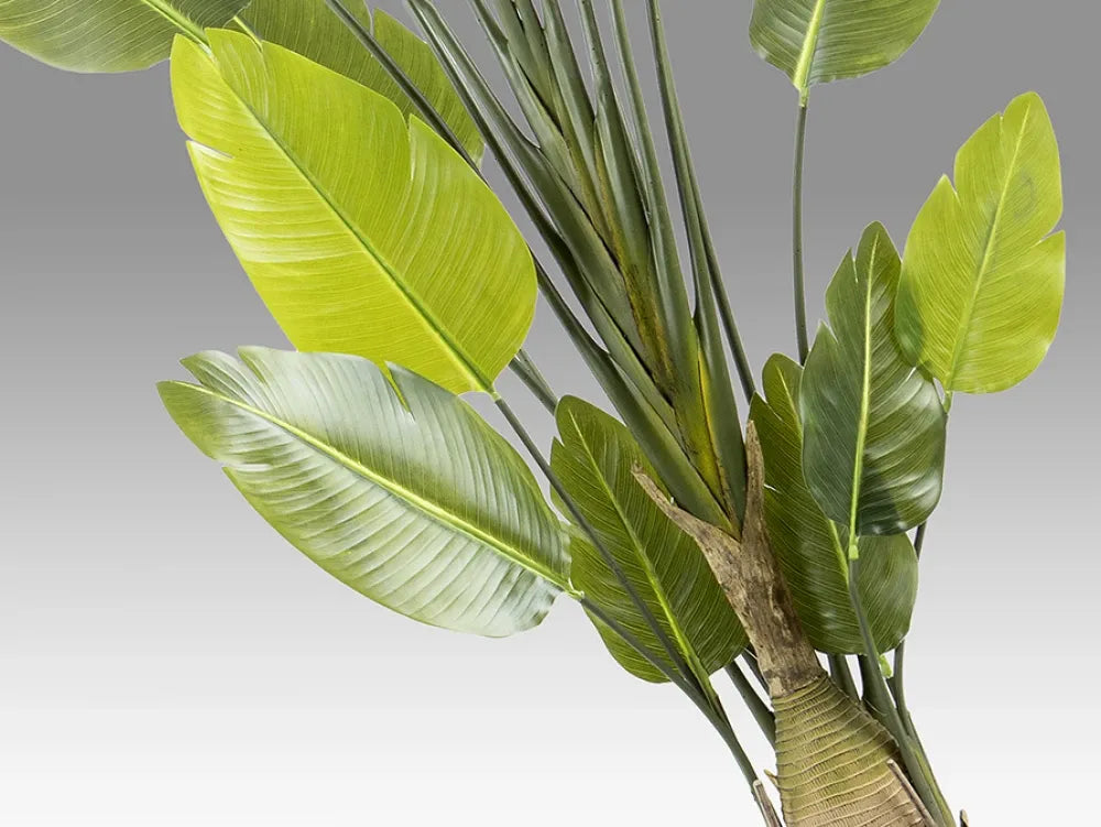 Planta artificiala din Plastic Verde L150xH250cm Ave paraíso