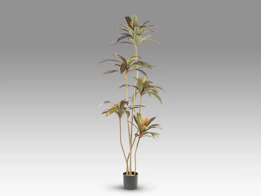 Planta artificiala din Plastic Verde L75xH220cm Dracena roja