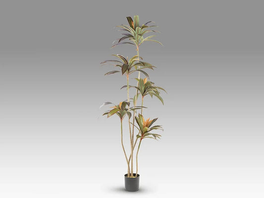 Planta artificiala din Plastic Verde L75xH220cm Dracena roja