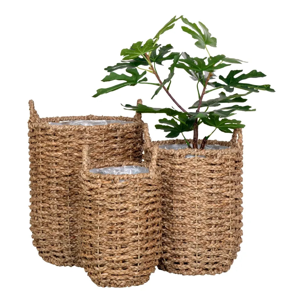Set 3 ghivece impletite natural Maro/Transparent H28/32/37xD20/26/31cm Hue