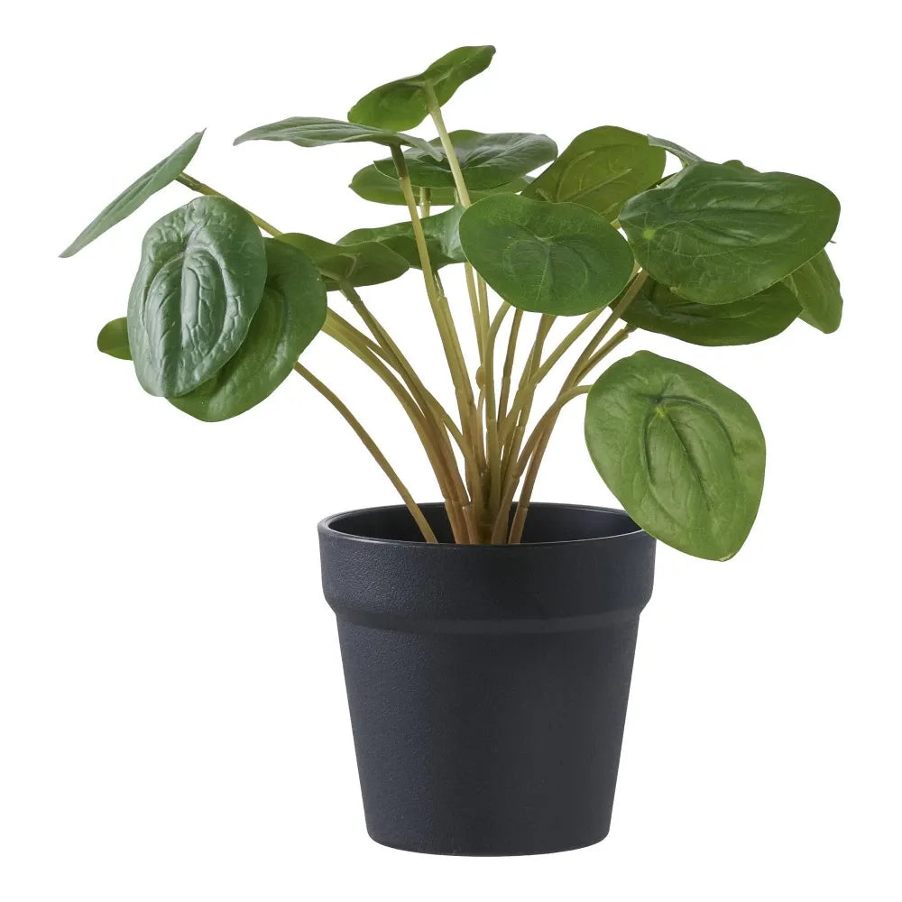 Planta artificiala in ghiveci Pelia H28xD28cm