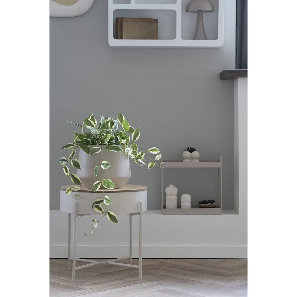 Planta artificiala in ghiveci Hoya Carnosa H33xD25,5cm