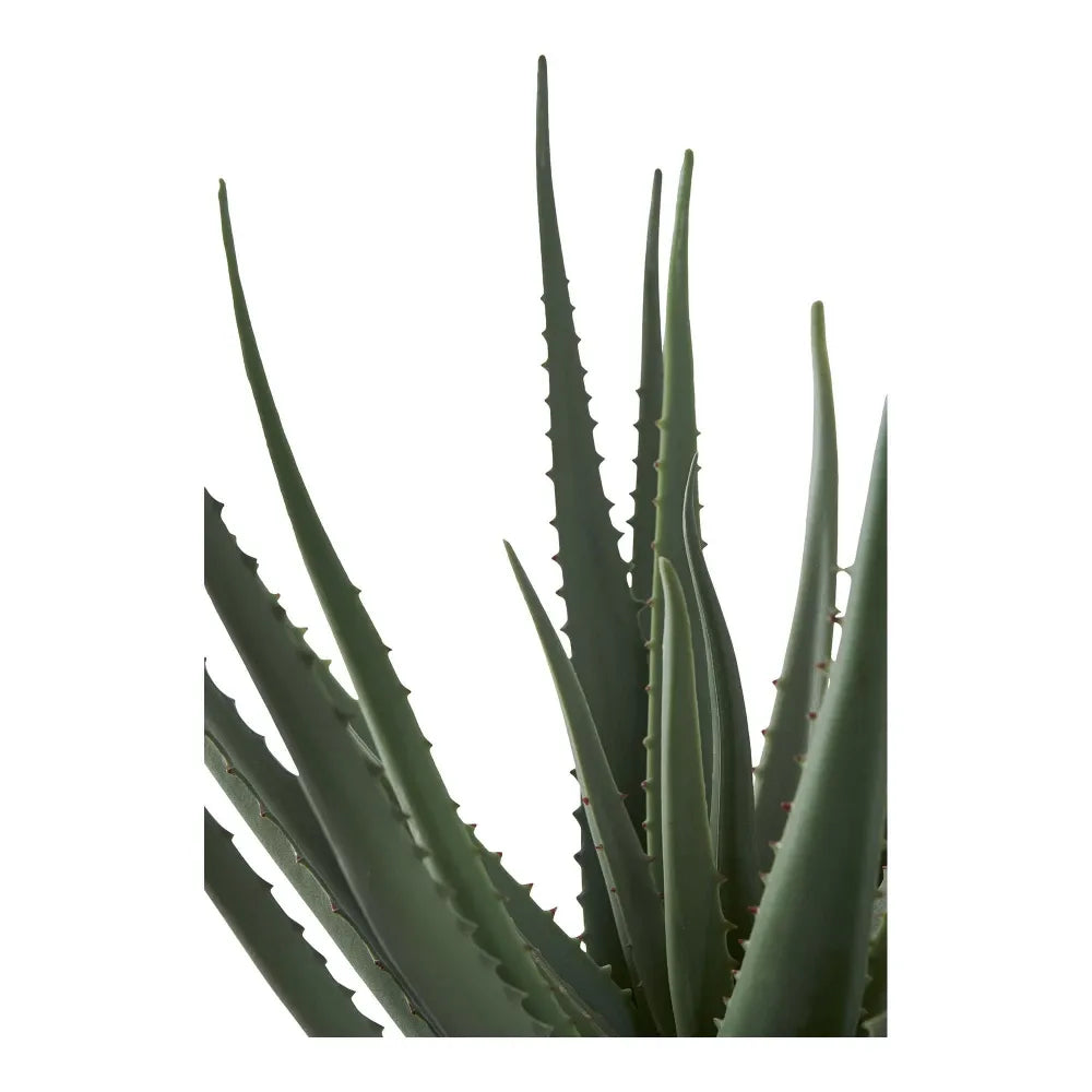 Planta artificiala in ghiveci Aloe Vera H51xD30,5cm