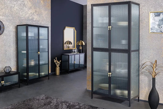 Dulap din Metal Negru si Metal/Sticla securizata Negru/Transparent L80xH180cm AMSTERDAM