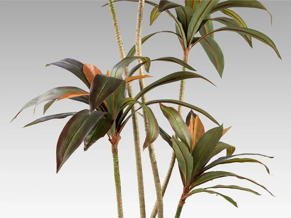 Planta artificiala din Plastic Verde L75xH220cm Dracena roja