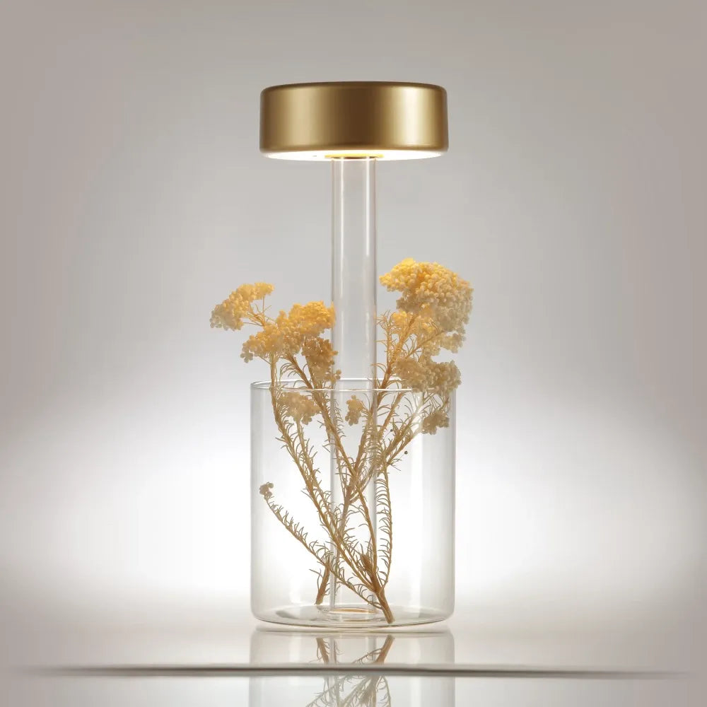 Veioza din Sticla Transparent si Aluminiu Auriu H34.8xD12cm AI Collaboration