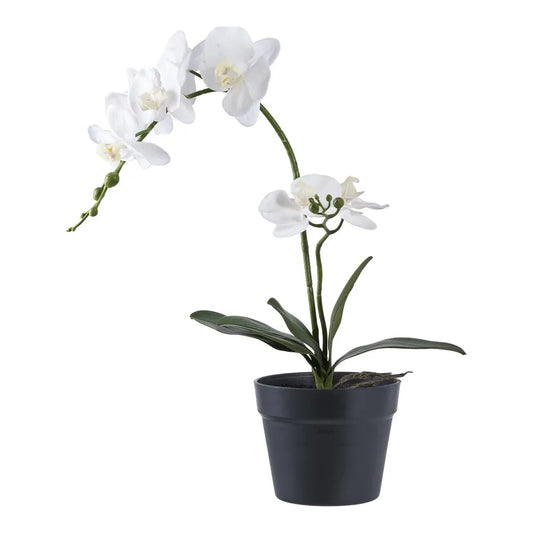 Orhidee artificiala in ghiveci H47xL34cm
