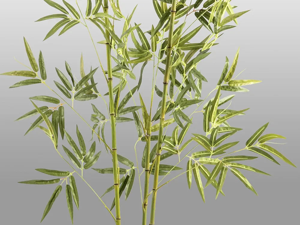 Planta artificiala din Plastic Verde L50xH170cm Bambu