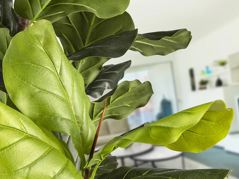 Planta artificiala din Plastic Verde L80xH250cm Higuera violin