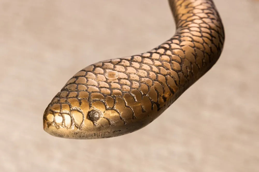 Masuta laterala din Sticla securizata Transparent si Metal Cupru L45xH62cm Wildlife snake