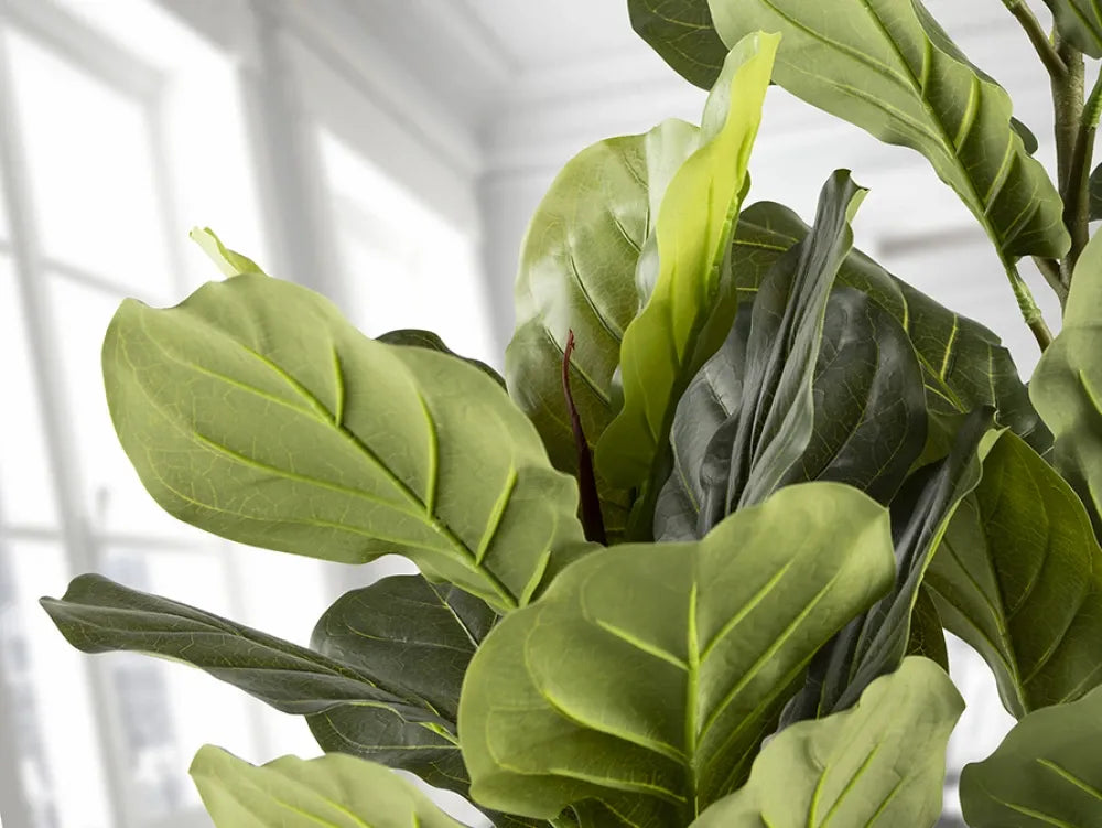 Planta artificiala din Plastic Verde L70xH200cm Higuera violin