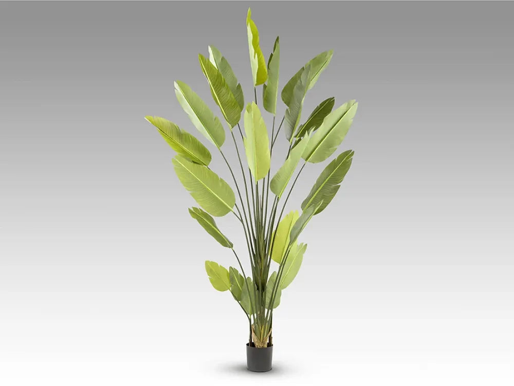 Planta artificiala din Plastic Verde L150xH250cm Ave paraíso