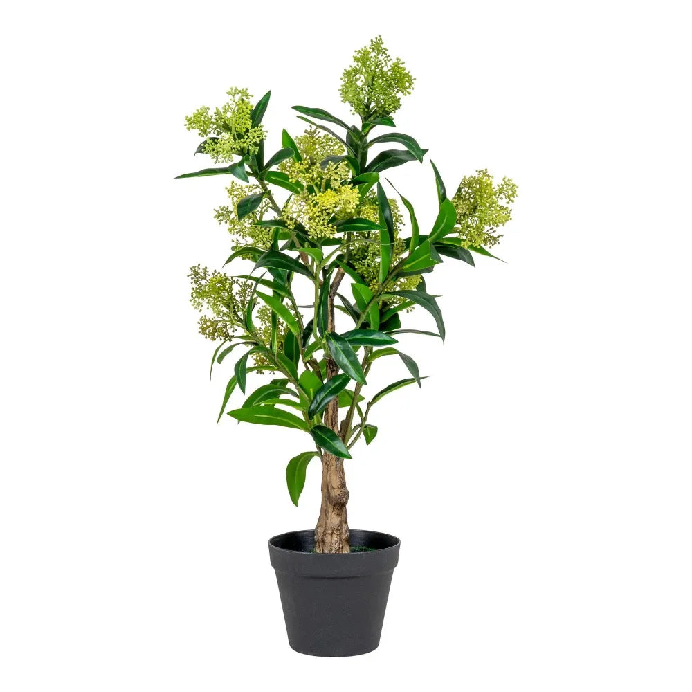 Planta artificiala in ghiveci Skimmia Tree H75xD40cm