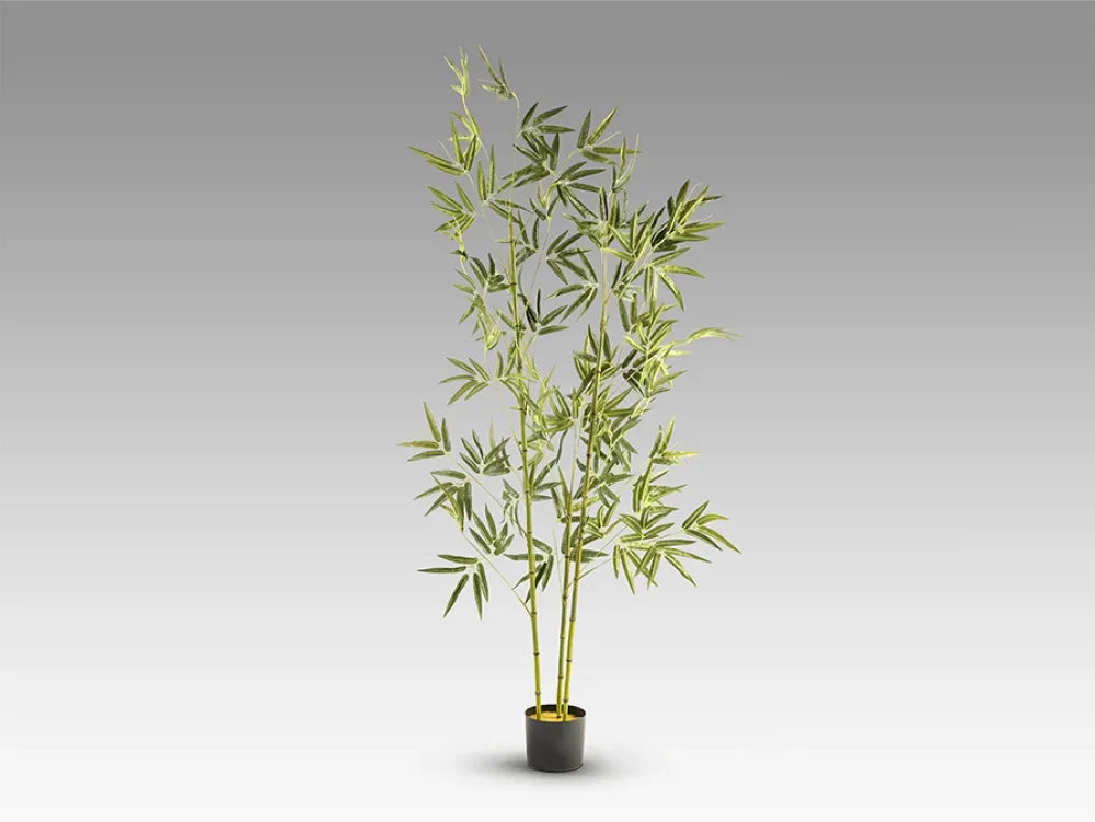 Planta artificiala din Plastic Verde L50xH170cm Bambu