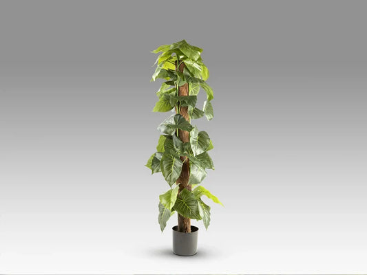 Planta artificiala din Plastic Verde L50xH150cm Taro