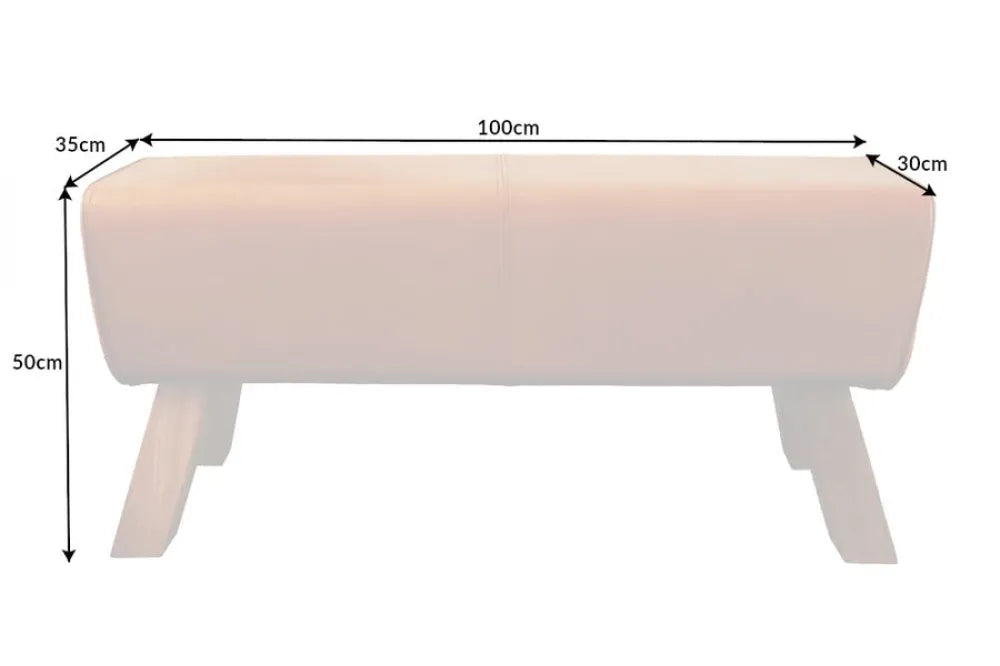 Bancheta din Lemn de mango Maro si Piele naturala Maro H50xL100cm Turnbock