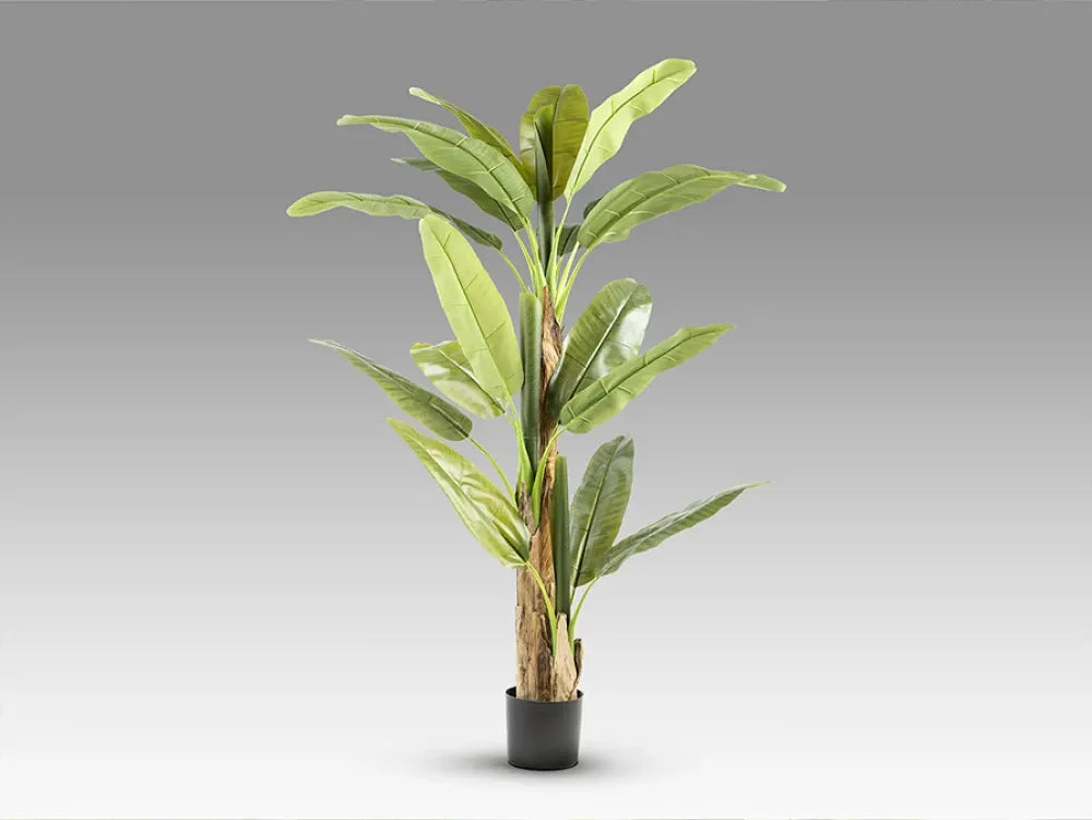 Planta artificiala din Plastic Verde L120xH180cm Platanera