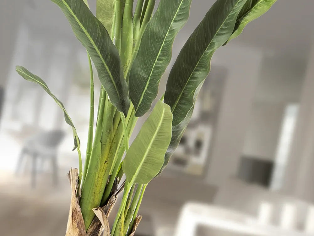 Planta artificiala din Plastic Verde L120xH240cm Palma viajero