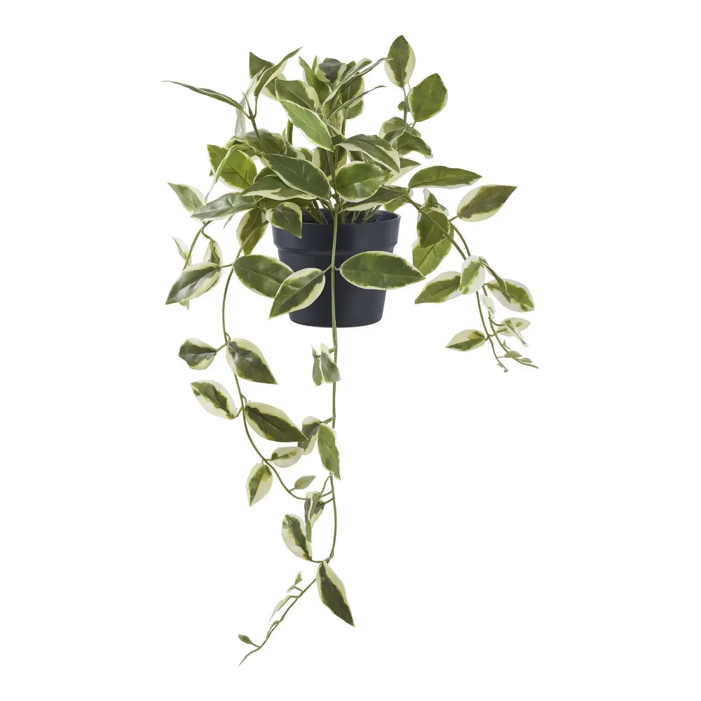 Planta artificiala in ghiveci Hoya Carnosa H33xD25,5cm