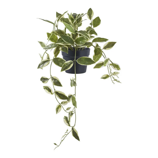 Planta artificiala in ghiveci Hoya Carnosa H33xD25,5cm