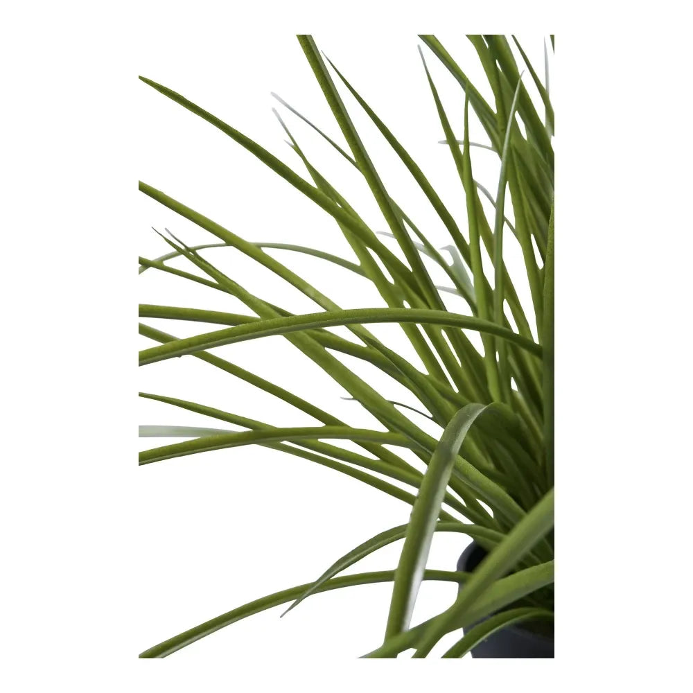 Planta artificiala in ghiveci Grass H45xD51cm