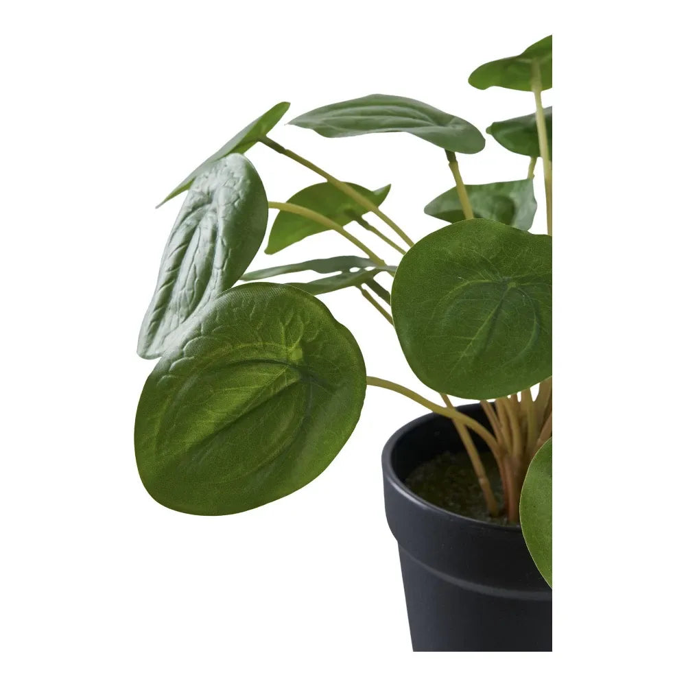 Planta artificiala in ghiveci Pelia H28xD28cm