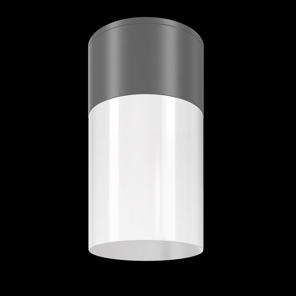 Spot aplicabil din Aluminiu Gri E27 60W D8xH14cm Willis