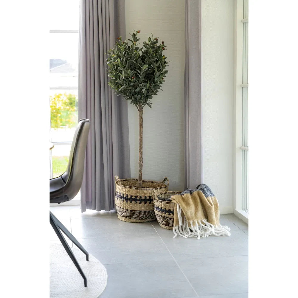 Patura din Acril Multicolor 170x130cm Sintra