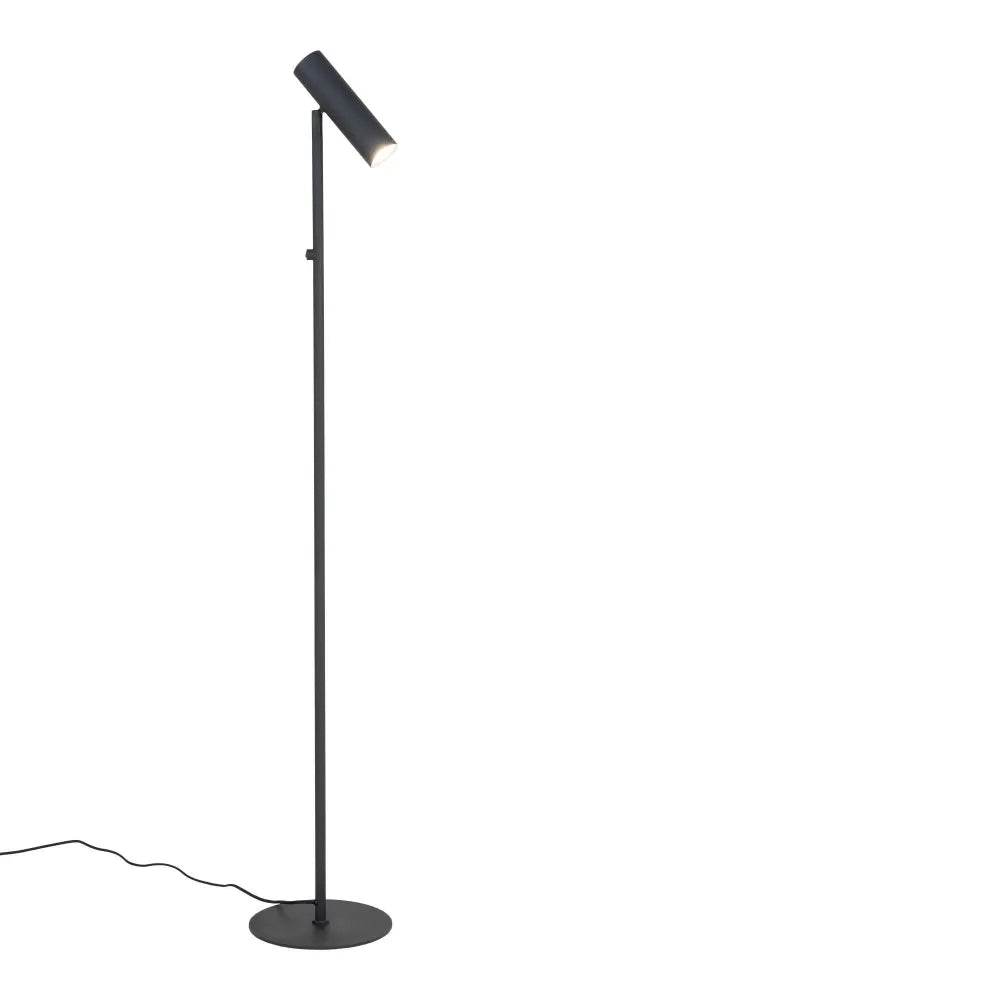 Lampa de podea din Metal Negru H150xL25cm Paris